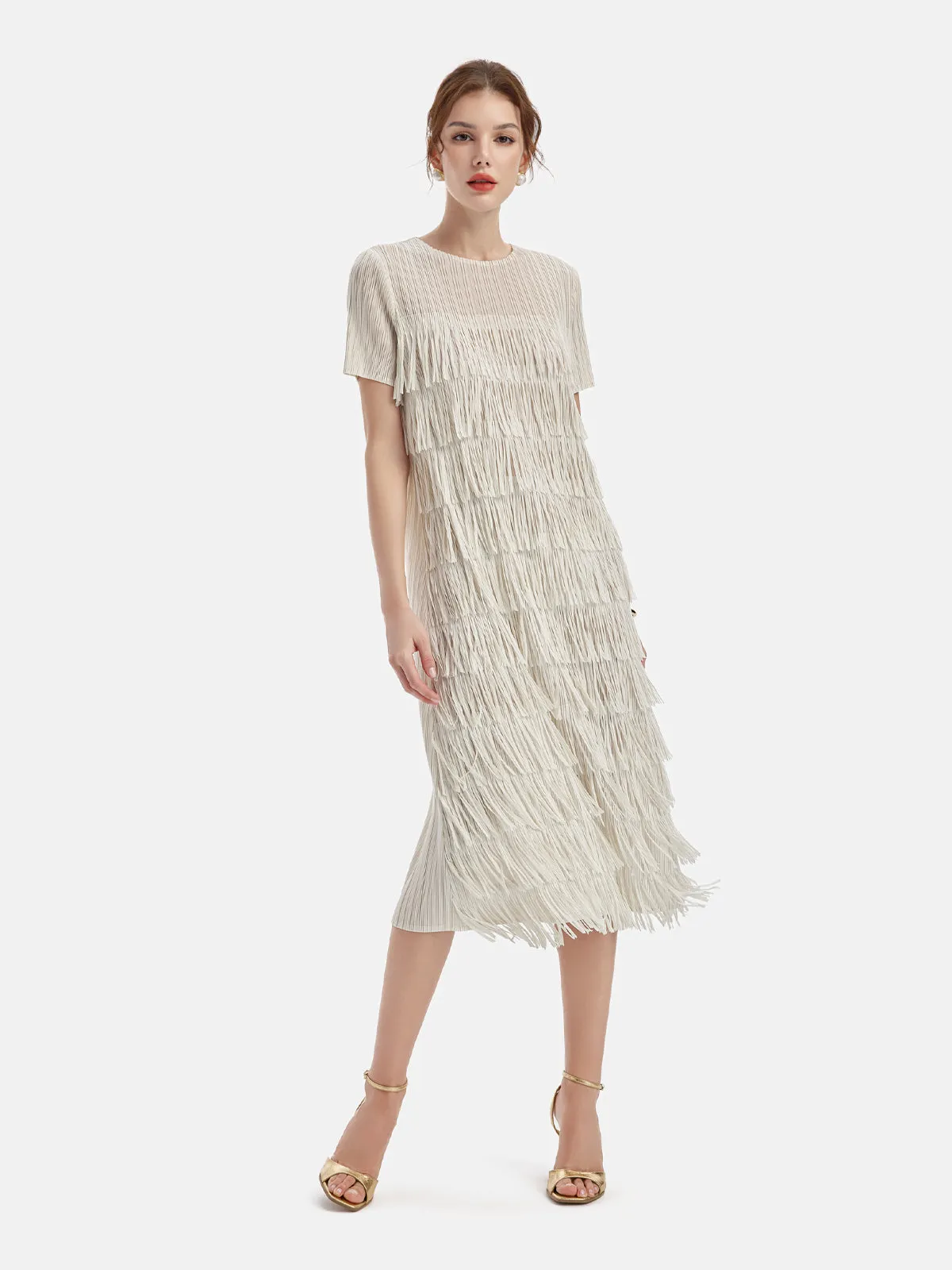 Elegant Fringe Short Sleeve Dress