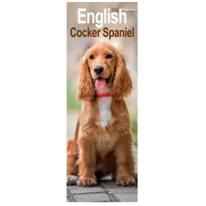 Otter House English Cocker Spaniel Slim Calendar 2025